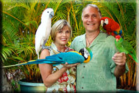 parrots in Lahaina